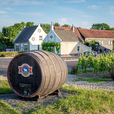 Wine-Barrel Rivaner Dreischor Luaran gambar