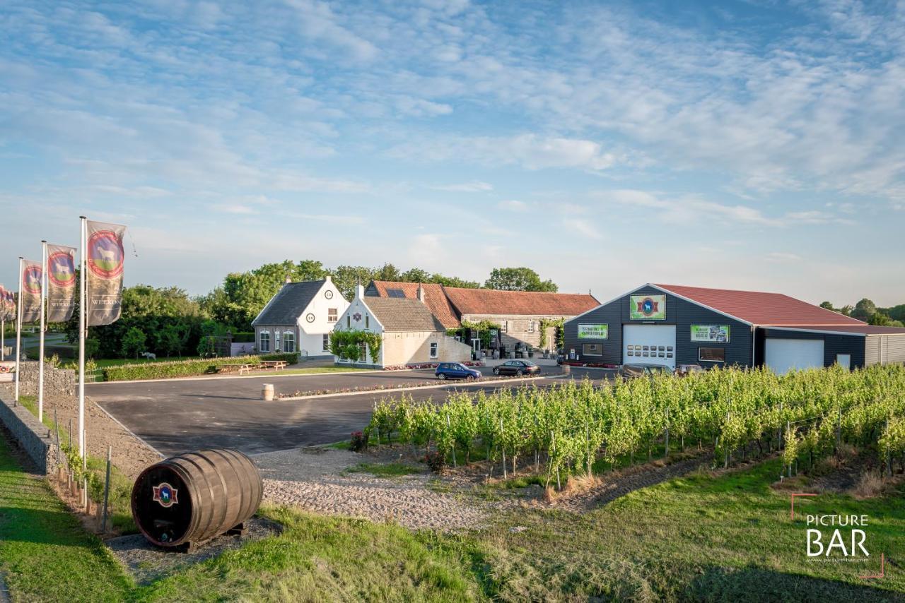 Wine-Barrel Rivaner Dreischor Luaran gambar